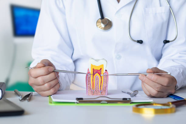 Best Same-Day Emergency Dental Services in Montgomery, IN
